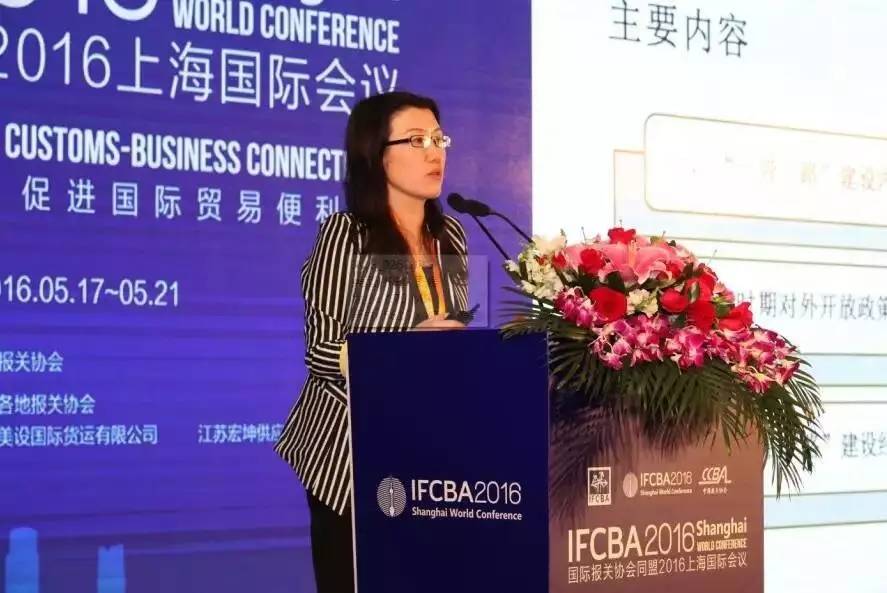 2016IFCBA花絮20—IFCBA2016商务部国际贸易经济合作研究院副院长、研究员发言