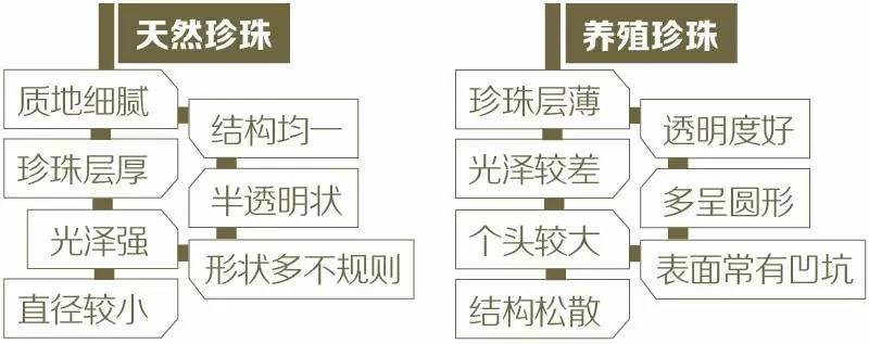 商品预归类 商品归类 hscode 商品归类决定