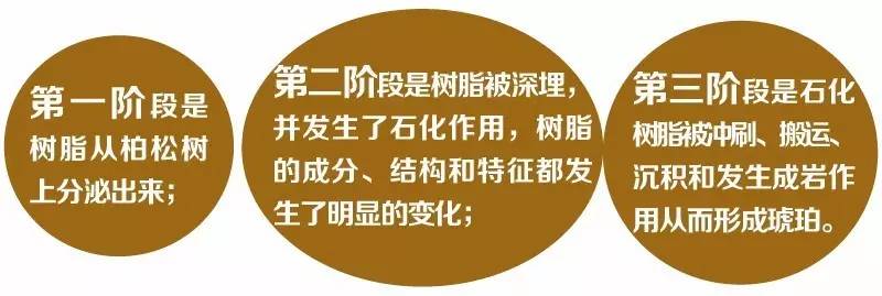 商品预归类 商品归类 hscode 商品归类决定