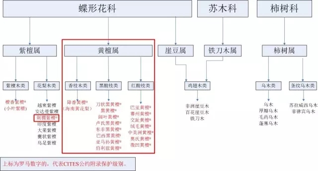 国际濒危保护红木 商品预归类 原产国认定培训